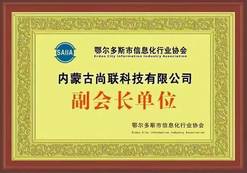 信息行业协会副会长单位